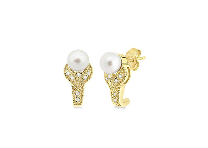 Gold Plated | Fashion Earrings